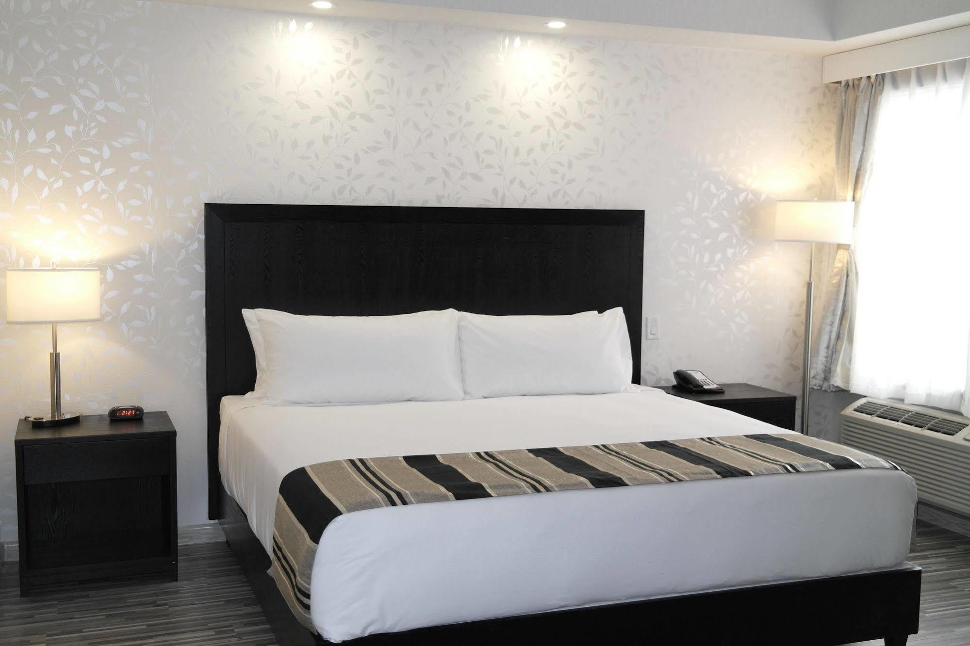Stars Inn Ледюк Екстериор снимка