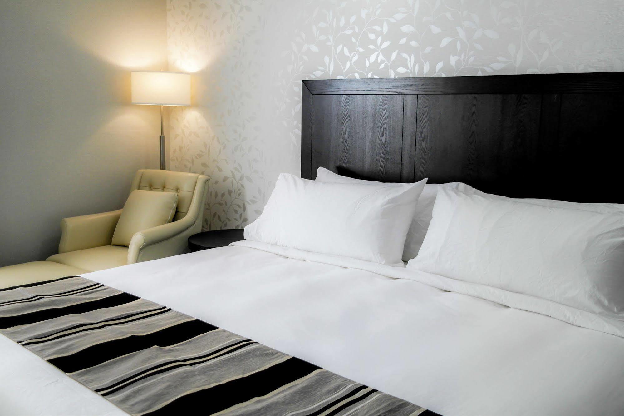 Stars Inn Ледюк Екстериор снимка