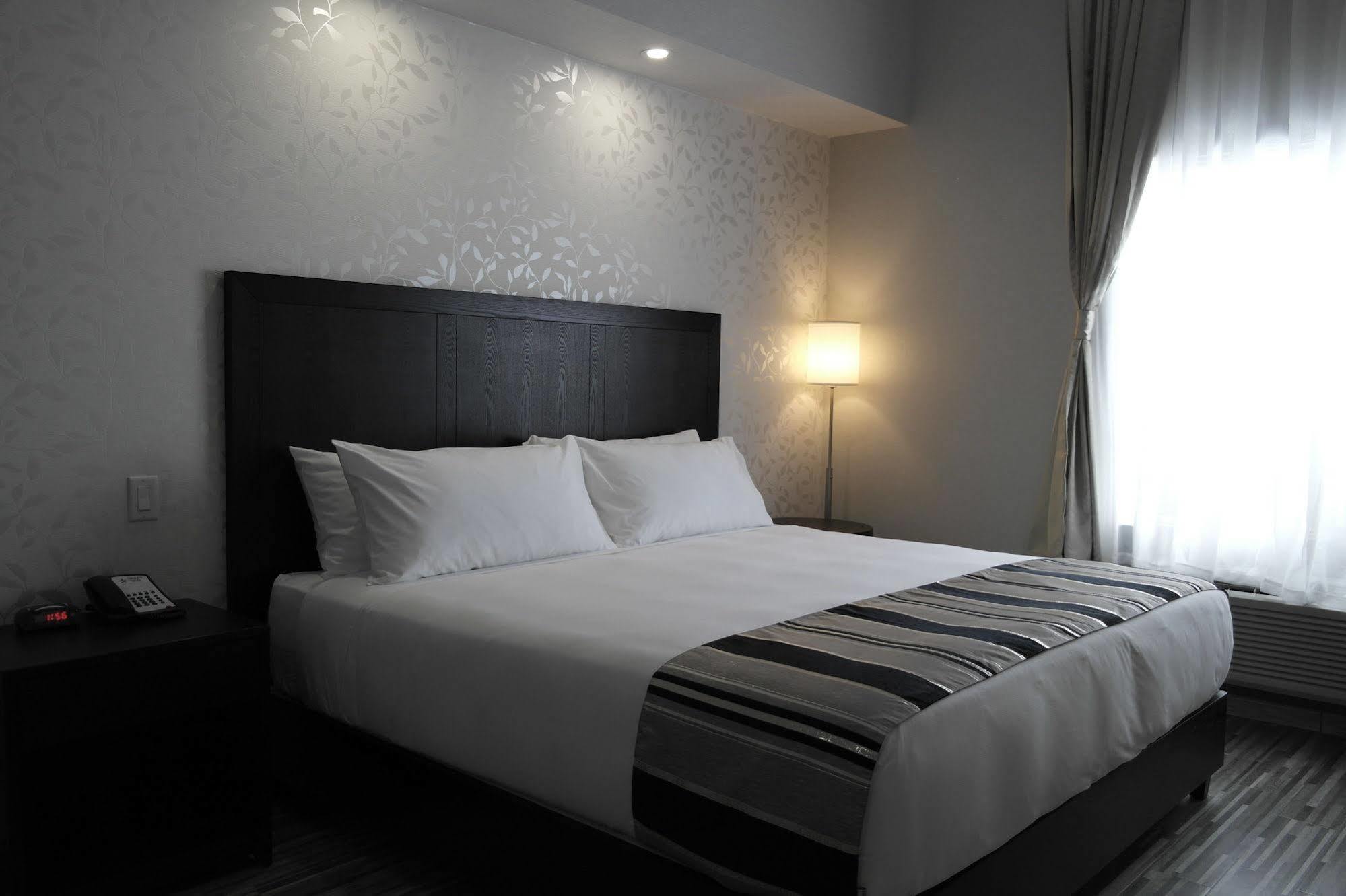 Stars Inn Ледюк Екстериор снимка
